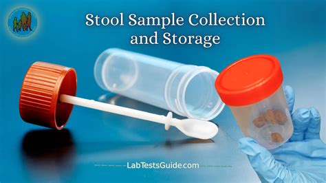 laboratory analysis of stool sample|how are stool samples tested.